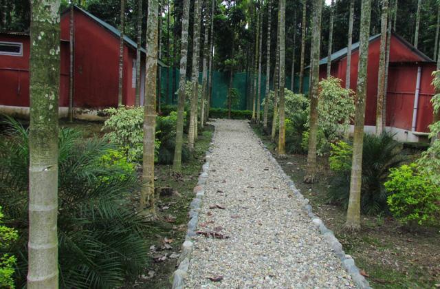 Resort Jayanti Hills Jungle Camp Rajabhat Khawa Kültér fotó